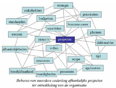organisatie advies